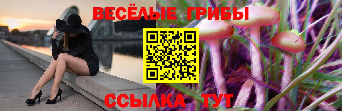 Тихвин  Галлюциногенные грибы MAGIC MUSHROOMS  Вход с VPN  Псилоцибиновые грибы прущие грибы 