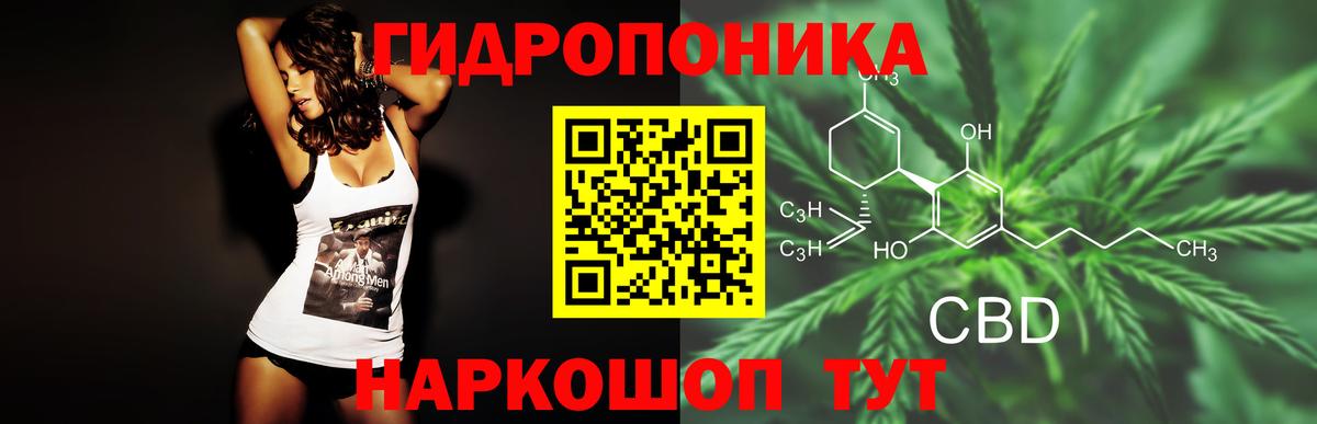 Марихуана конопля Тихвин